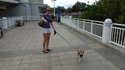 Tampa River Walk