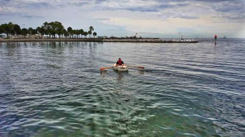 Rowing in St. Petersburg, FL
